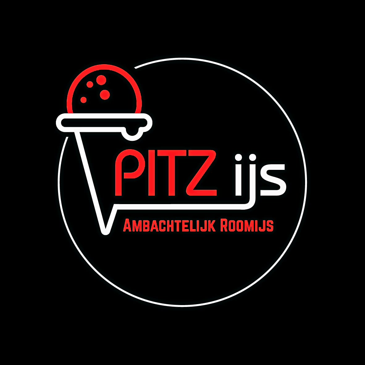 logo pitzijs